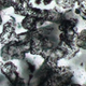 Illustration for article titled Scientists have discovered the oldest fossils on Earth in Australia